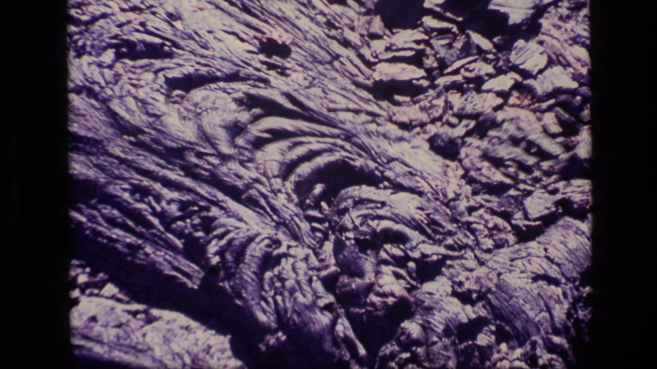 1972 Idaho 8mm close-up of ridged bark-like natural texture with shadowed grooves and purplish-gray highlights.