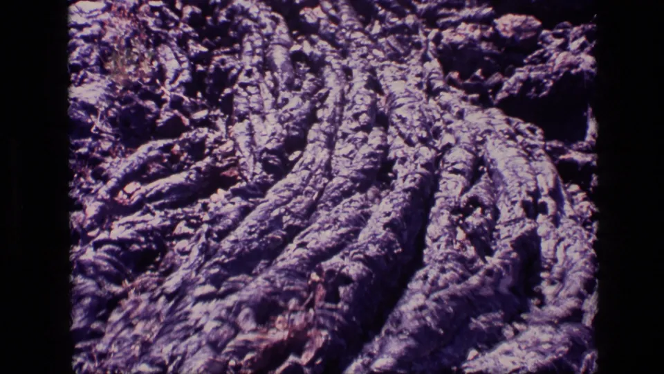 1972 Idaho 8mm frame with darker bark-like ridges, deep channels, and glossy purplish highlights across the rough surface.