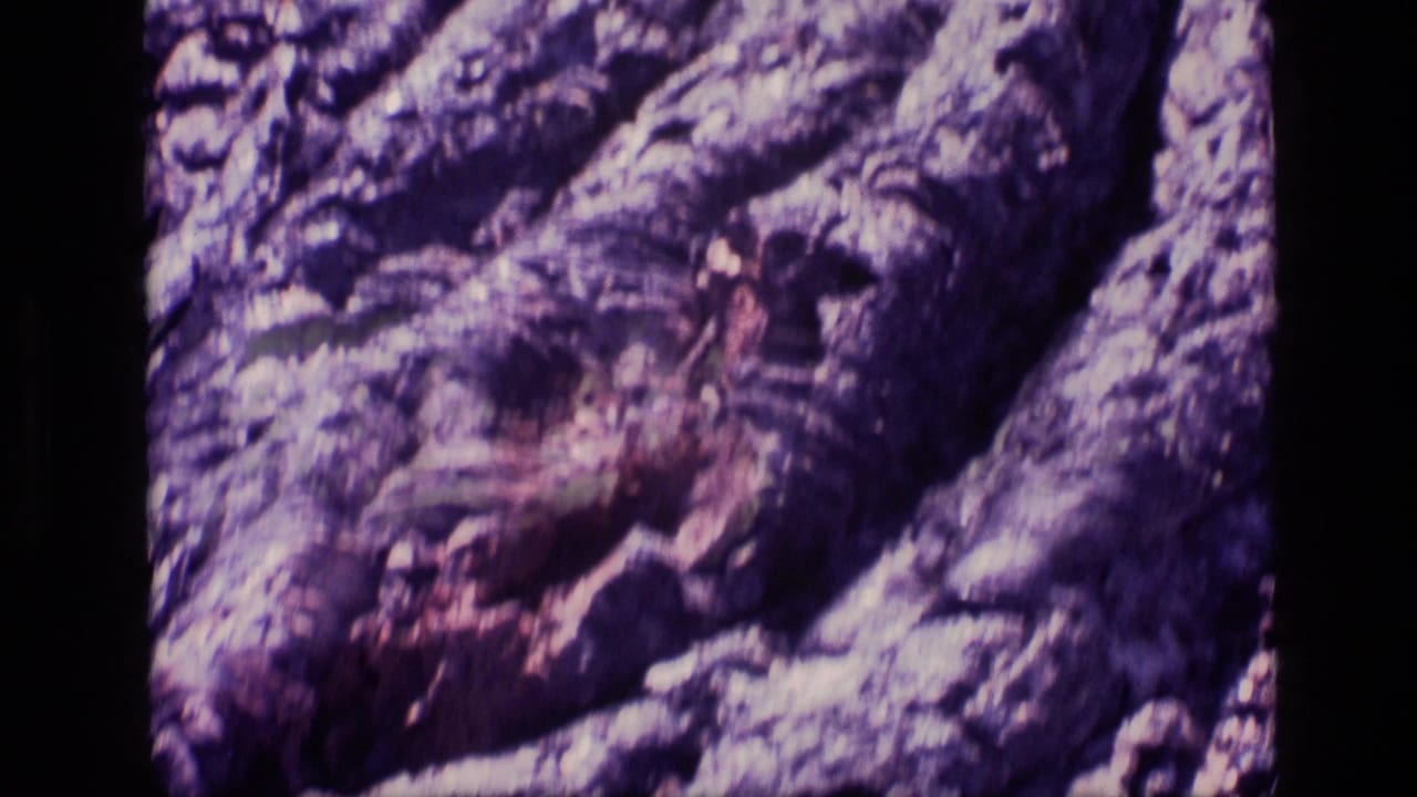 Close 8mm view of Idaho rock formations, with rough ridges, broken surfaces, and shadowed openings in the stone.