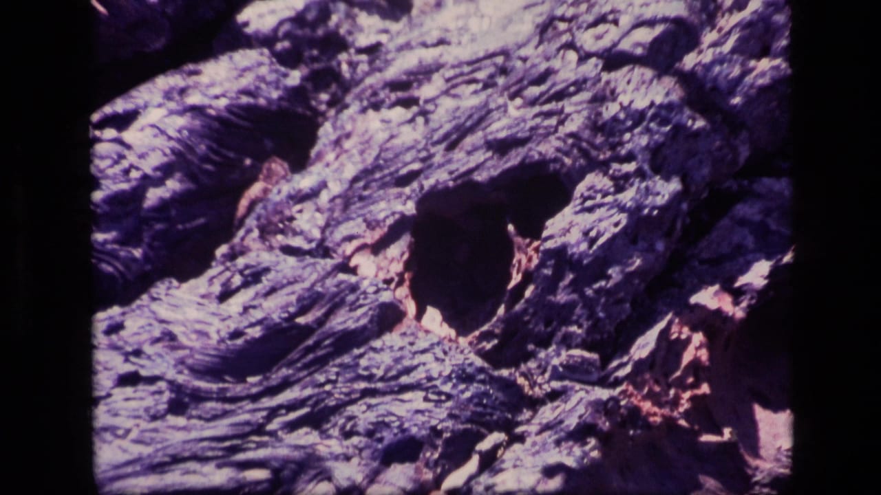 1972 Idaho 8mm close-up of petrified wood, showing layered ridges, shadowed hollows, and aged purple-pink film color.