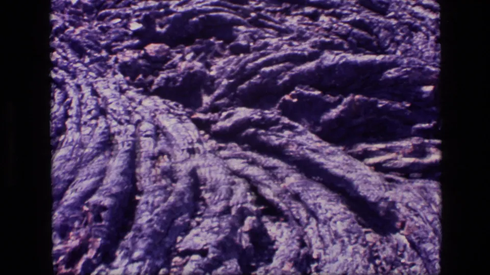 1972 Idaho 8mm close detail of petrified wood with long ridged bands, ash-like surface material, and soft film grain.