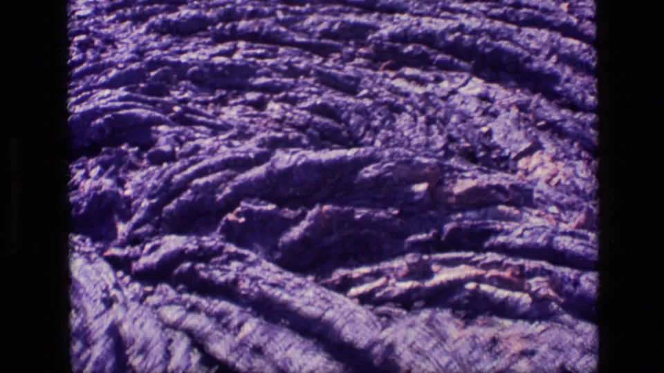 1972 Idaho 8mm close-up of layered petrified wood grooves, shadowed cracks, and aged magenta-purple color shift.