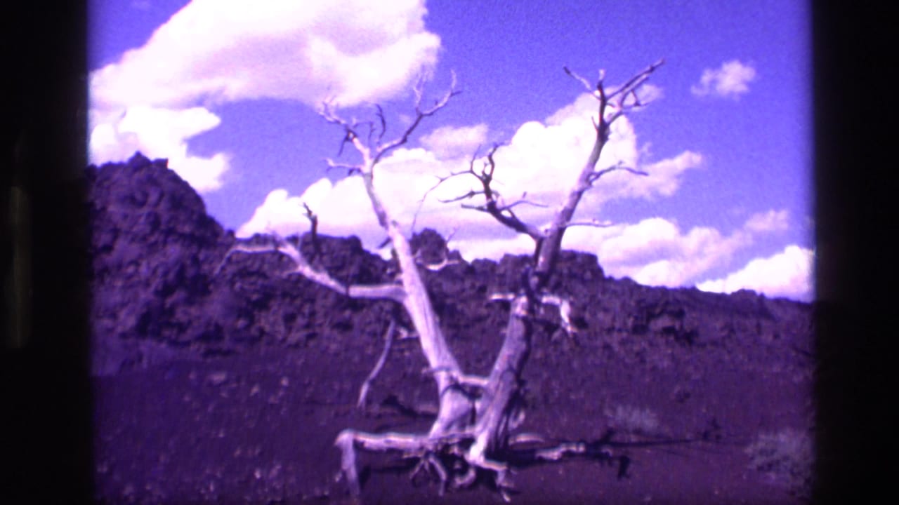 1972 Idaho 8mm frame showing a leafless pale tree against dark rocky desert terrain, low hills, white clouds, and a purple-blue sky.