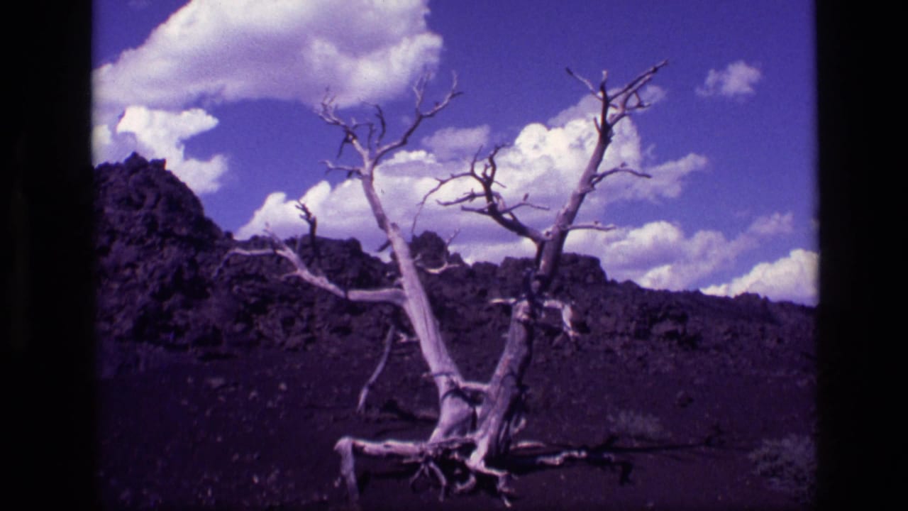 Leafless tree centered against dark terrain, rocky ridge, white clouds, and blue-purple sky.