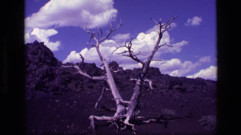 1972 Idaho home-movie frame with a weathered bare tree centered before dark desert ground, a rocky ridge, and sunlit clouds.