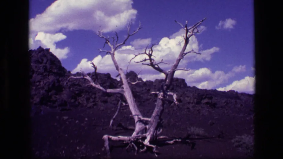 1972 Idaho home-movie frame of a leafless tree angled across a stark desert scene with dark ground, low rocks, clouds, and color-shifted sky.