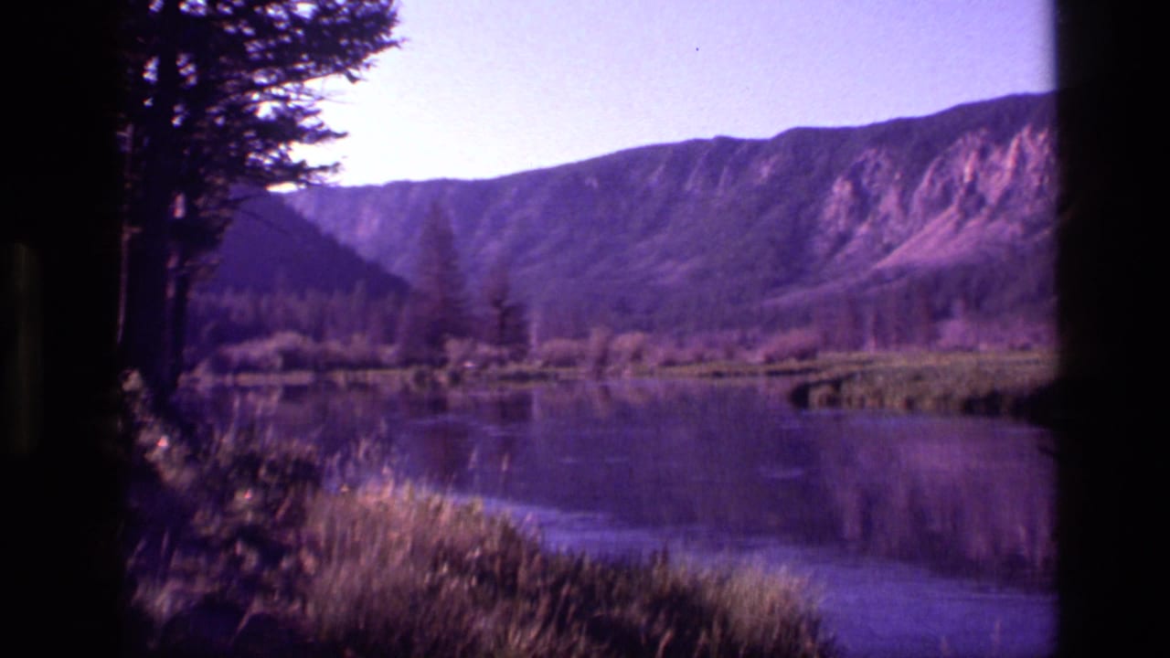 Lake, evergreen shoreline, and mountain slope with dark trees along the left edge.