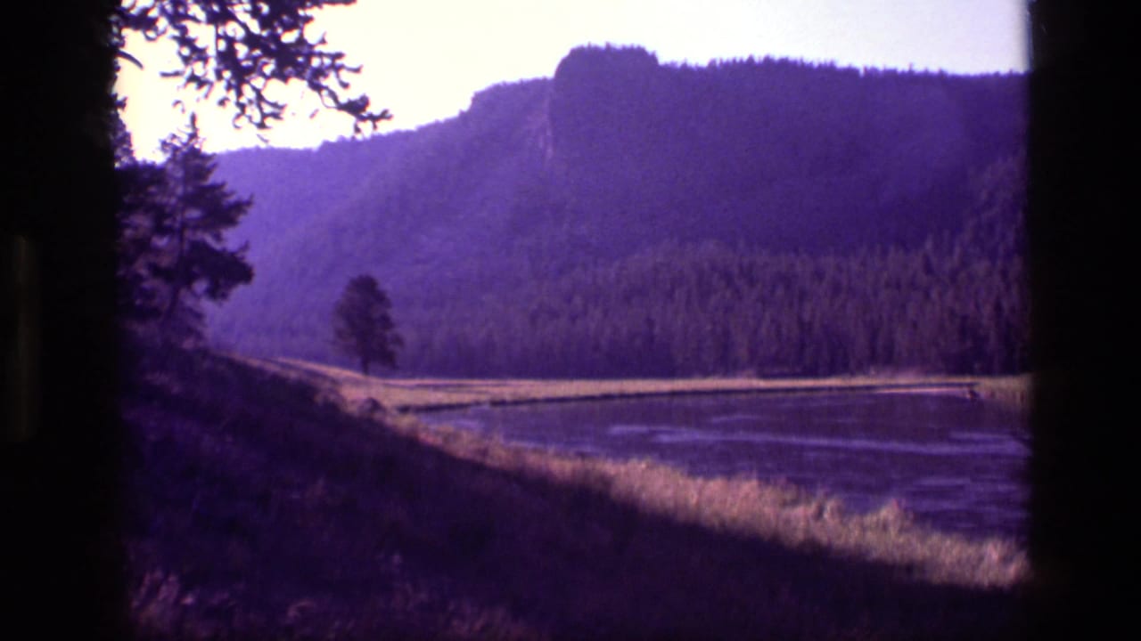 Lake or wetland bordered by pine forest and mountain ridge, seen through dark film edges.