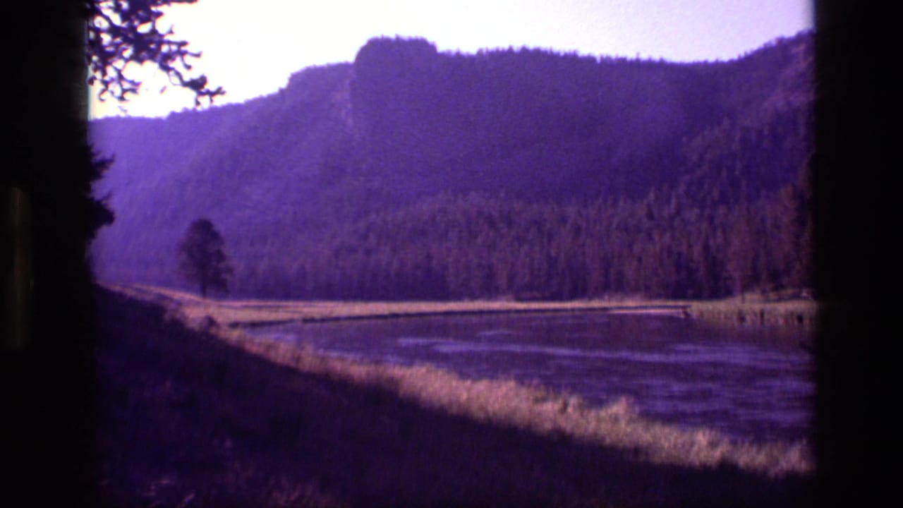 1972 Idaho 8mm frame with a shoreline, still water or marsh, pine-covered mountain slope, lone tree, and purple film cast.