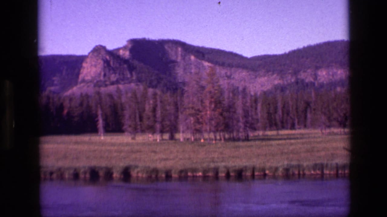 River, meadow, pine forest, and rocky mountain ridge under a clear sky.