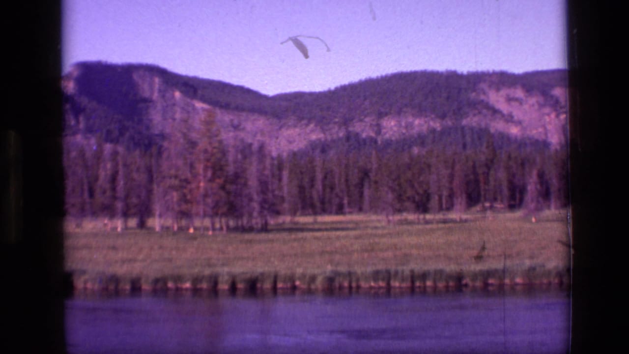 Mountain range behind a pine forest and meadow, with river water in front.