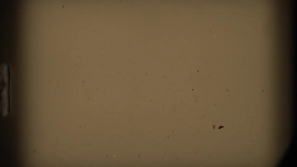 Blank 8mm leader frame with warm tan cast, dark side shadow, and scattered dust from the physical film scan.