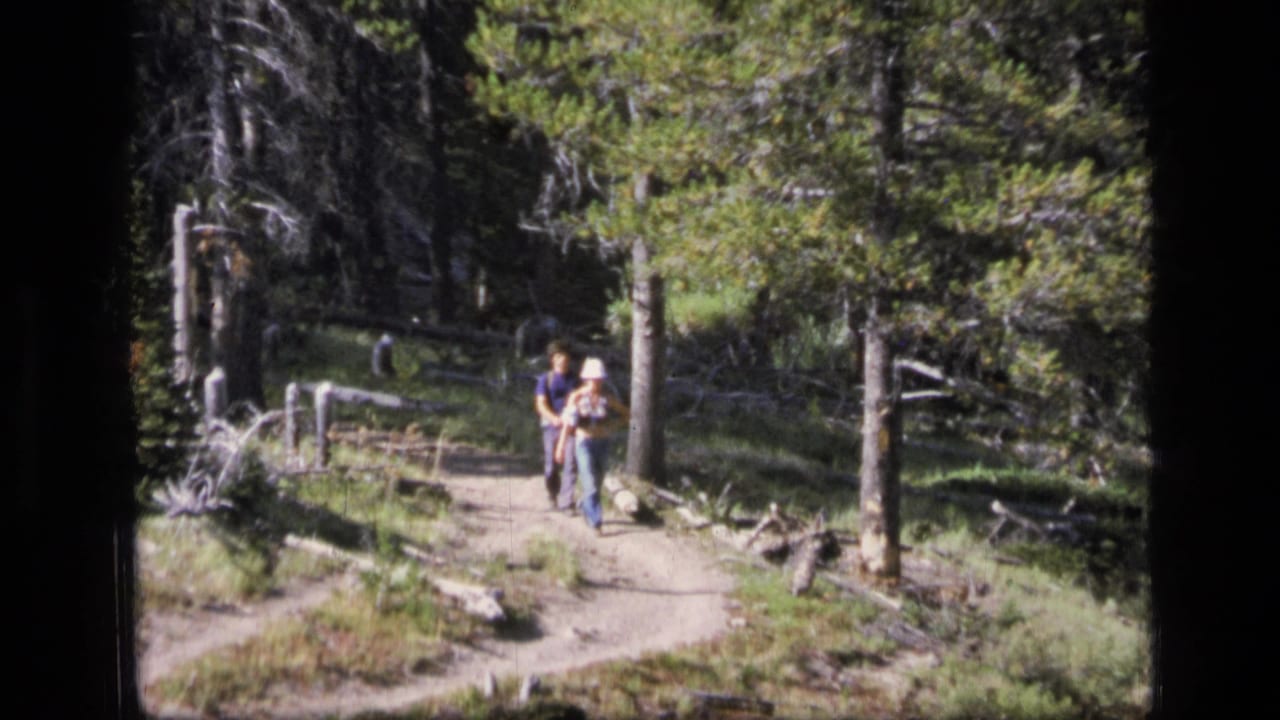 1973 8mm home-movie frame of a couple walking on a forest trail in Scapegoat Wilderness, Montana, with trees and split-rail fencing nearby.