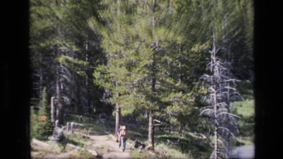 A 1970s 8mm view shows a hiker moving down the Scapegoat Wilderness trail, surrounded by pine trees, brush, and rustic fence posts.