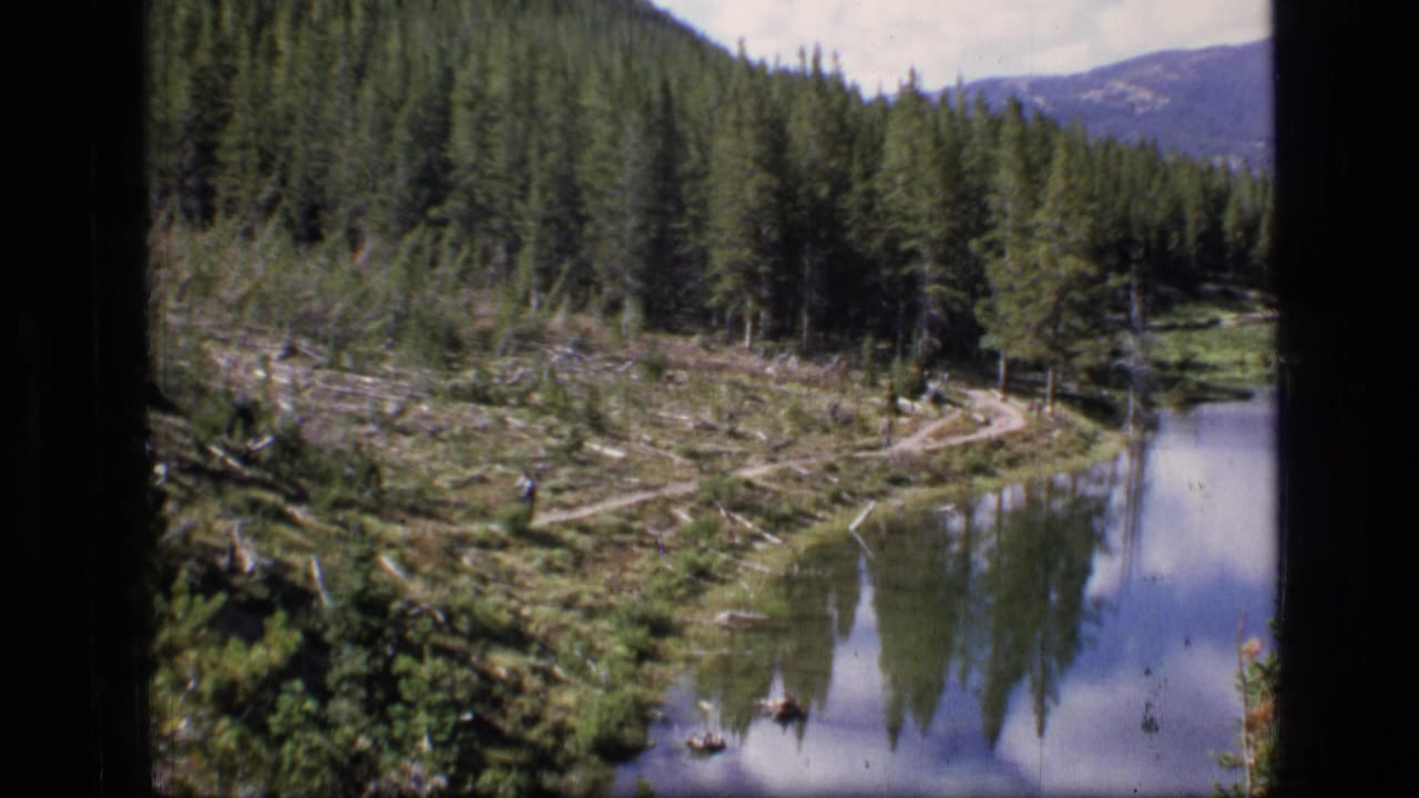 Reflective lake bordered by pines and cleared ground, with a trail curving through the meadow.