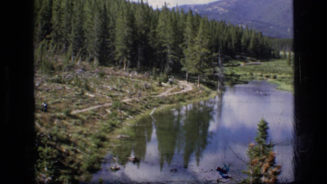 1973 8mm view of a Montana wilderness stream bordered by evergreen forest and distant hills, seen from an elevated bank.