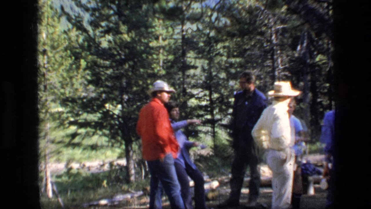 1973 8mm footage from Scapegoat Wilderness shows a small group of adults gathered in a sunlit evergreen forest.