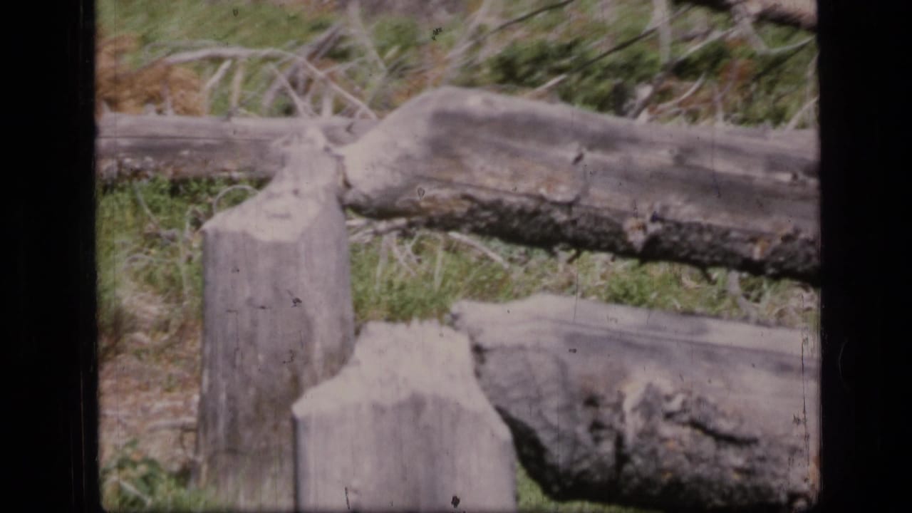 Weathered log rail crossing cut posts with grass and brush behind it.