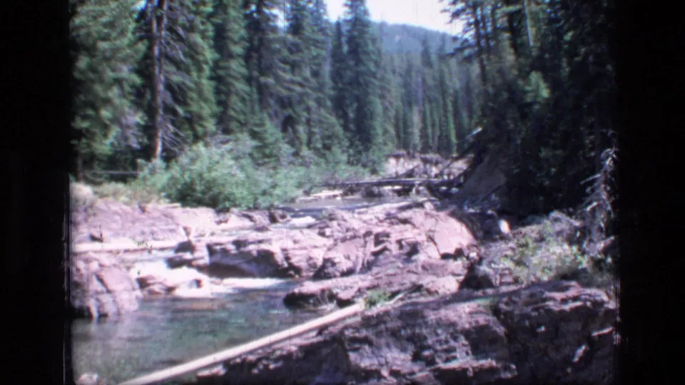1973 Montana wilderness frame showing a shallow rocky creek, fallen timber, evergreen forest, and distant wooded slope.