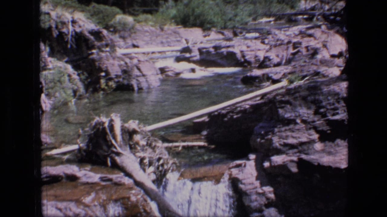 Rocky stream pool above a small waterfall with fallen logs across the water.