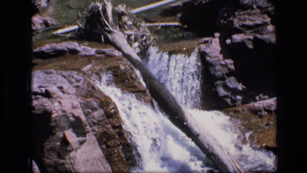 White water drops over rock ledges beside a large fallen tree trunk.