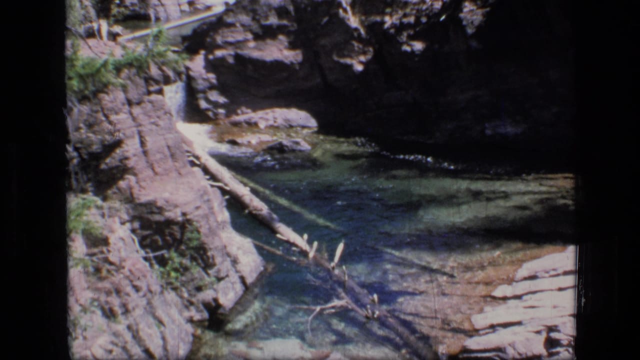 1973 Montana wilderness footage shows clear stream water moving through rock ledges and fallen timber.
