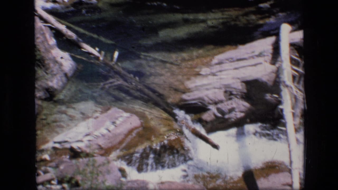 Small cascade flows over flat rocks beside fallen branches.