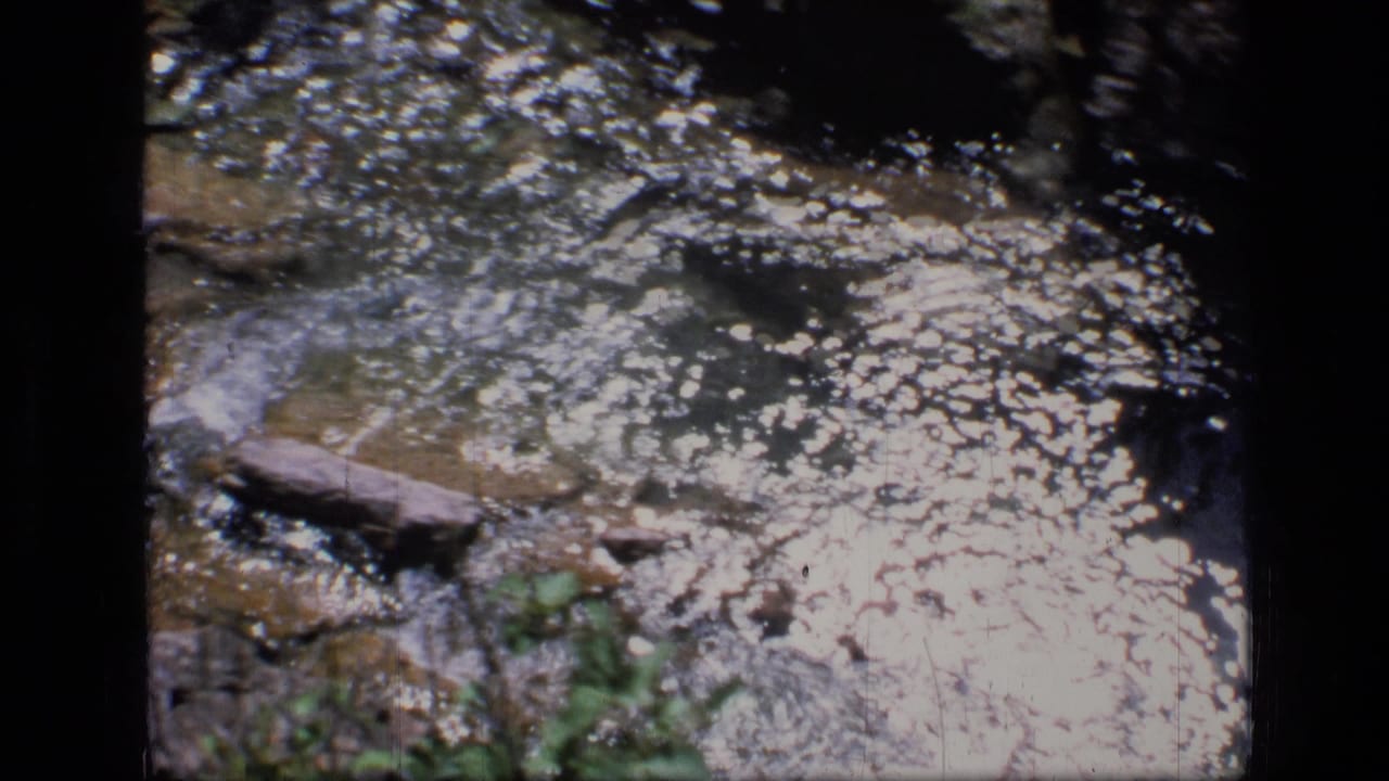 Sunlight glints across a shallow creek with rocks and greenery along the bank.