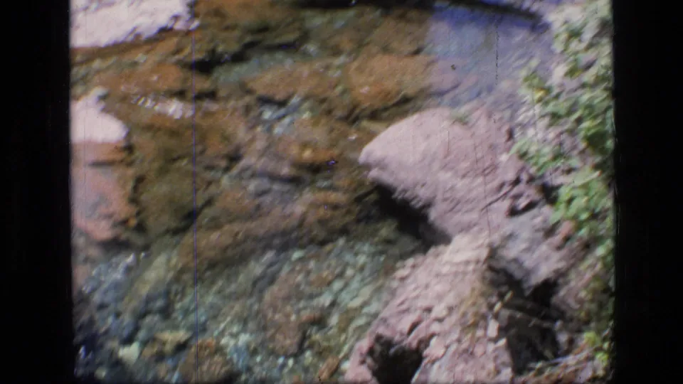 Shallow Montana brook water appears to pass over pebbles and larger rocks, with soft 8mm focus and streamside greenery.