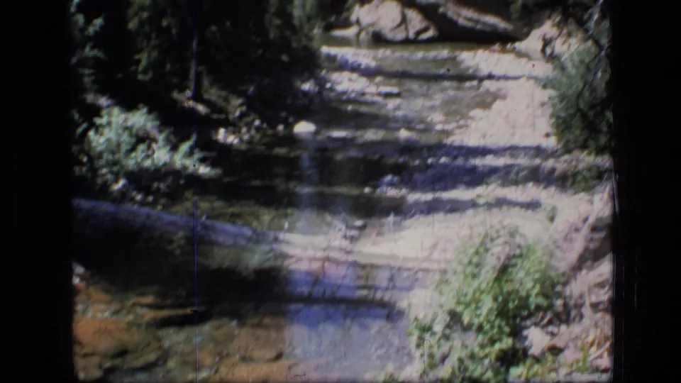 A shaded section of the Scapegoat Wilderness brook shows shallow water, a fallen log or branch, rocks, and dense vegetation.