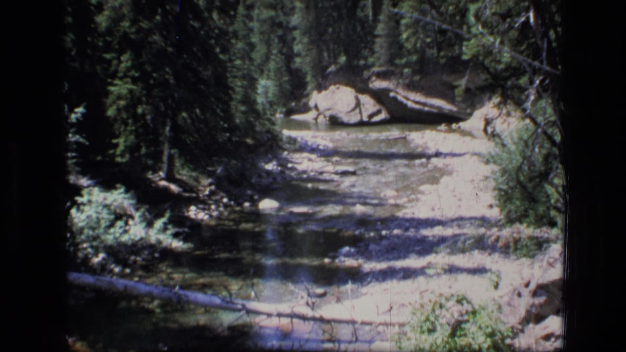 1973 8mm view of a shallow stream running through dense evergreen forest in Scapegoat Wilderness, Montana.