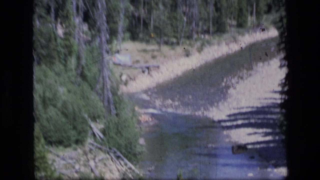 A narrow mountain stream curves past pine forest and pale banks in the Montana wilderness setting.