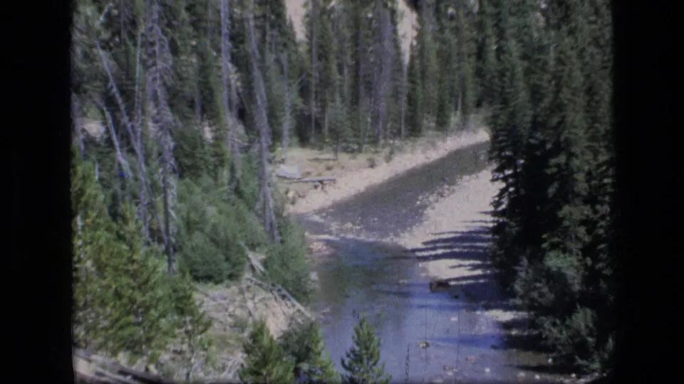 1973 home-movie frame showing a stream bend below tall evergreens and dry banks in Scapegoat Wilderness.