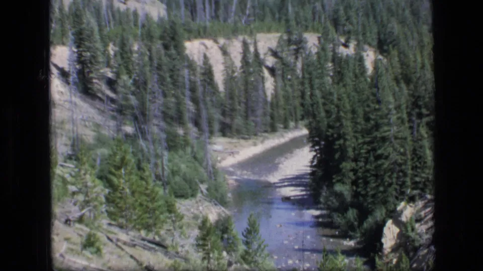 The stream recedes through dense Montana conifers, with pale banks and rugged forest terrain visible.