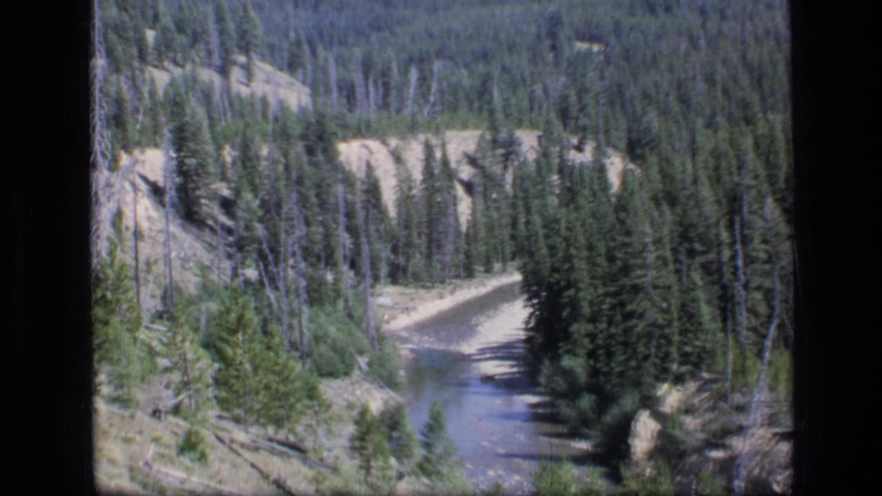 1973 8mm home-movie view of a stream winding through evergreen forest and steep canyon banks in Scapegoat Wilderness, Montana.
