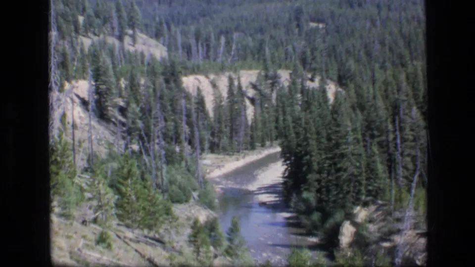 1973 8mm home-movie view of a stream winding through evergreen forest and steep canyon banks in Scapegoat Wilderness, Montana.