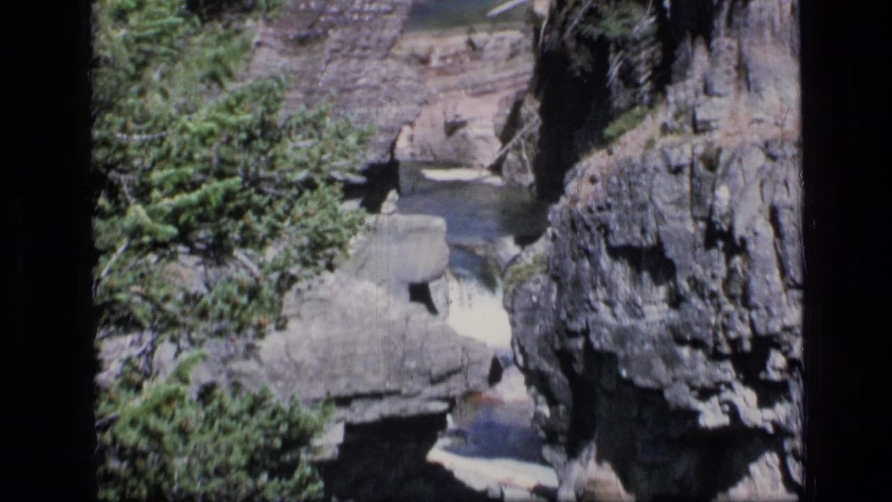 Rocky canyon with evergreen trees and pale water channels above a pool.