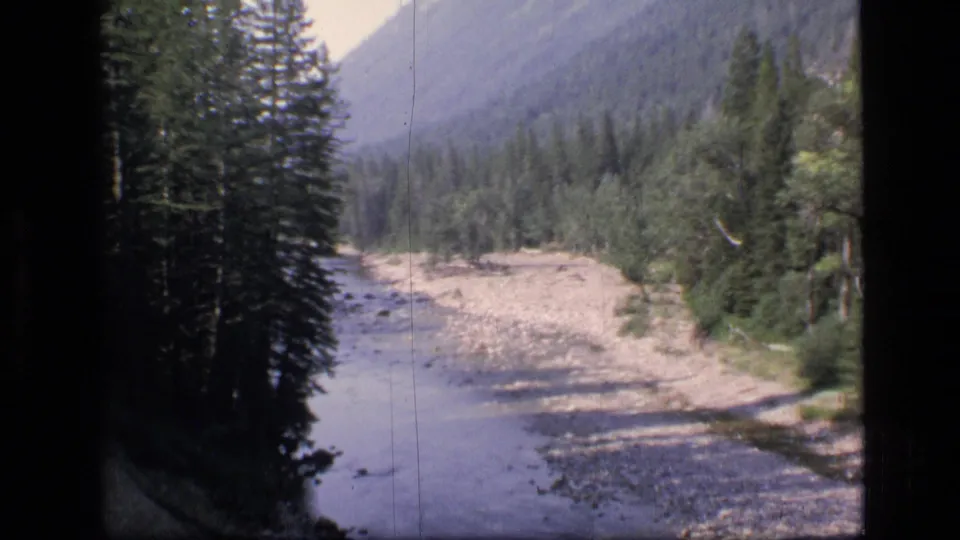 1973 8mm home-movie view of evergreen trees and a light rocky riverbed in Montana's Scapegoat Wilderness.