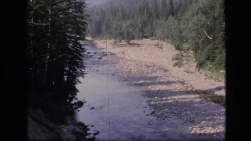 1973 8mm frame showing a shallow stream, gravel bar, and dense conifers within Scapegoat Wilderness, Montana.