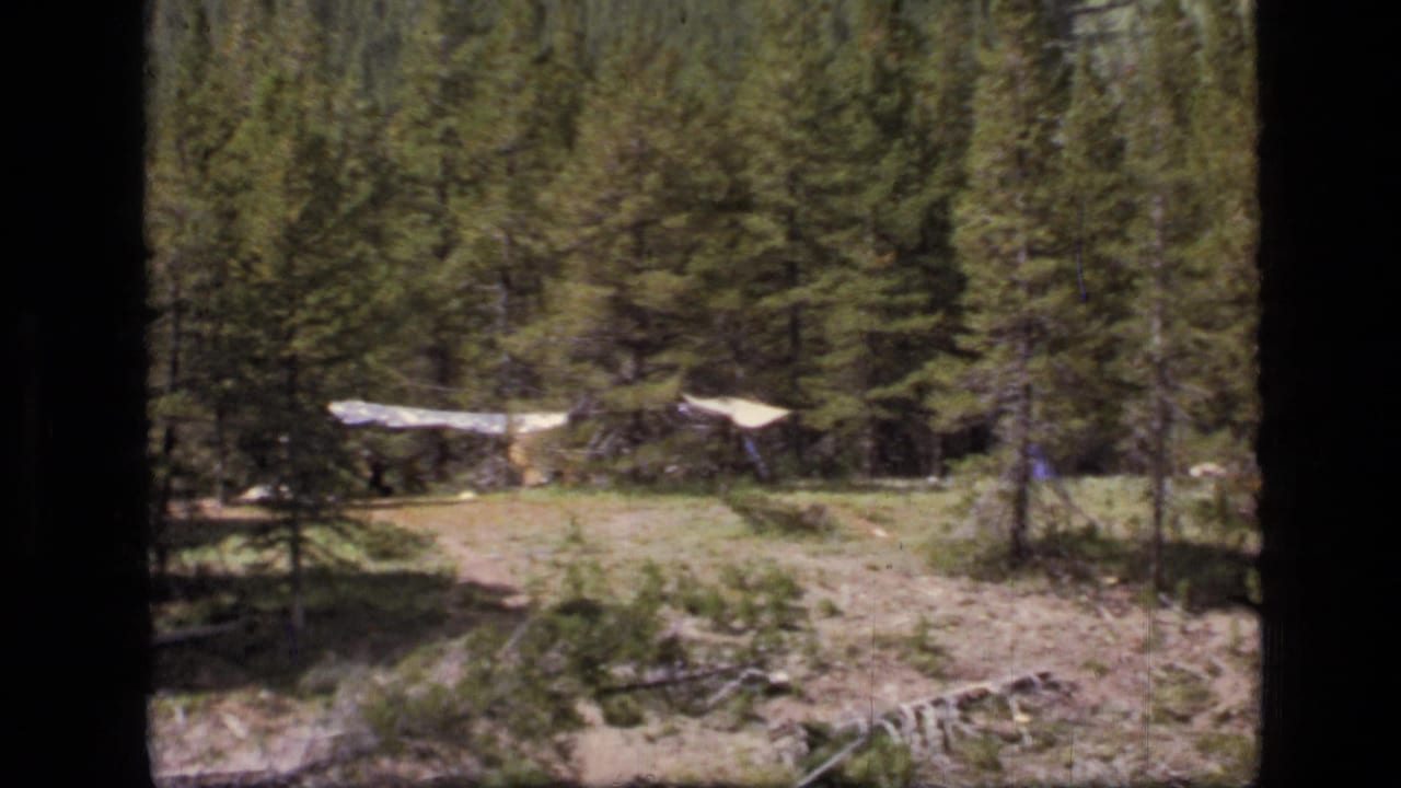 Pine forest clearing with a pale tarp shelter and small tent in the distance.