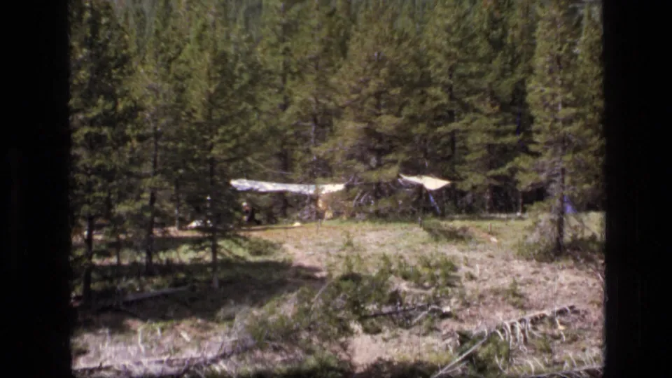 1973 8mm frame from Scapegoat Wilderness showing a tarp-roof campsite tucked among tall pine trees.