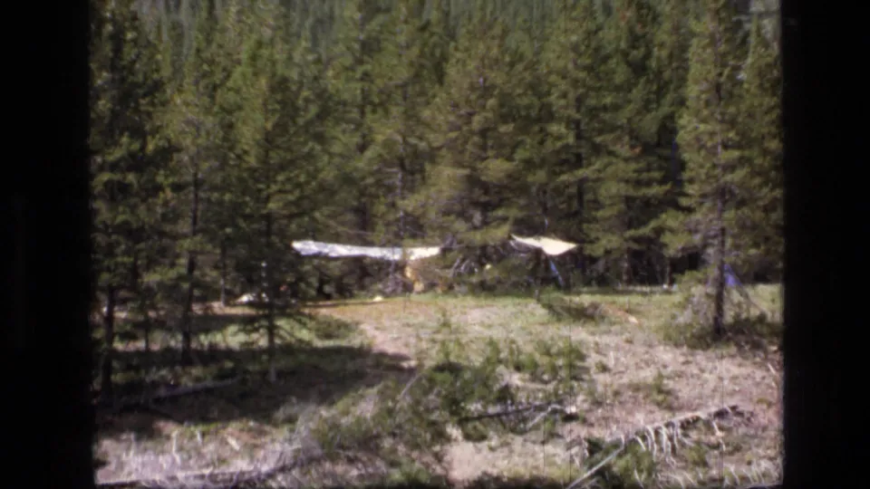 1973 Montana wilderness campsite footage showing a tarp shelter across a dry pine forest clearing.