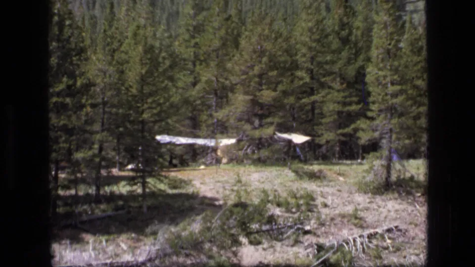 1973 8mm home-movie frame of a sunlit Scapegoat Wilderness campsite framed by visible film gate edges.