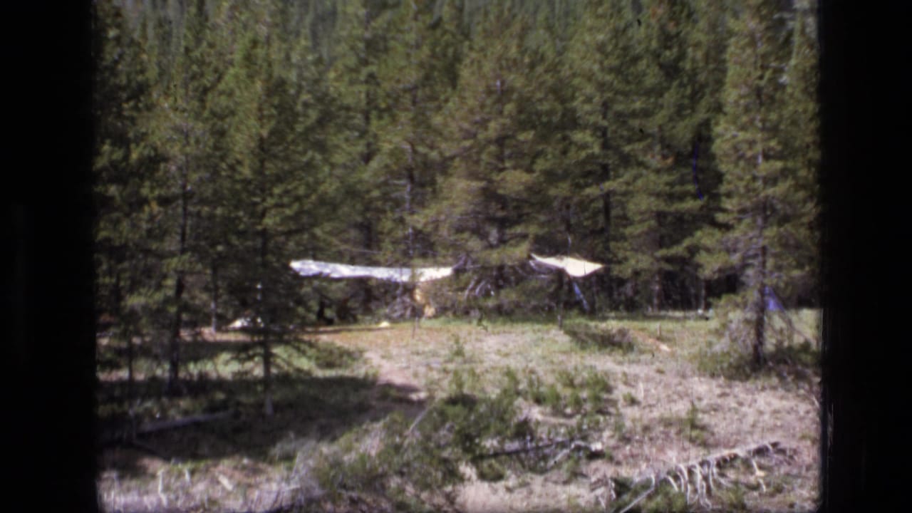 1973 8mm frame from Scapegoat Wilderness showing a distant pale cabin or structure among pines and fallen branches.