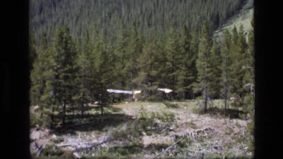 1973 Montana wilderness frame with a small pale structure set back among evergreens below a wooded slope.