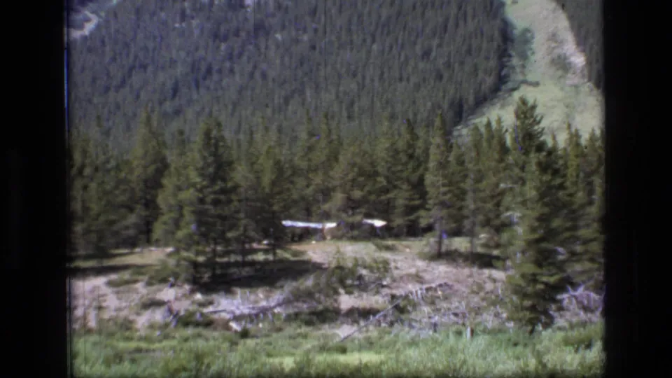 1973 8mm wilderness view widens to show pines, a grassy clearing, fallen wood, and a small pale structure in the distance.
