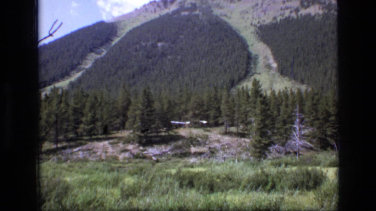 Forested mountain slope with a pale clearing above evergreens and grassy foreground.