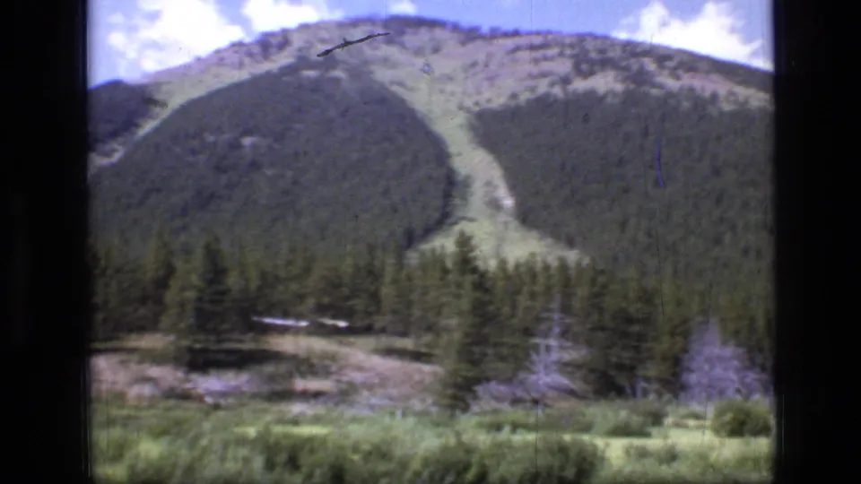 Soft 8mm frame of a Scapegoat Wilderness mountainside in Montana, with meadow vegetation, conifers, and a pale uphill clearing.