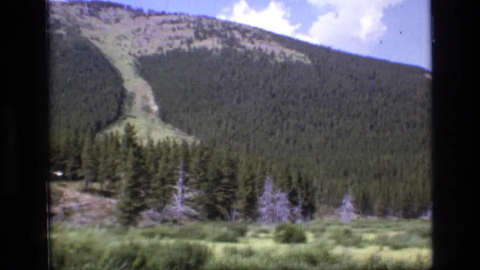 1973 Montana wilderness view on 8mm film, showing a broad conifer-covered mountain slope with a grassy foreground and light open run.