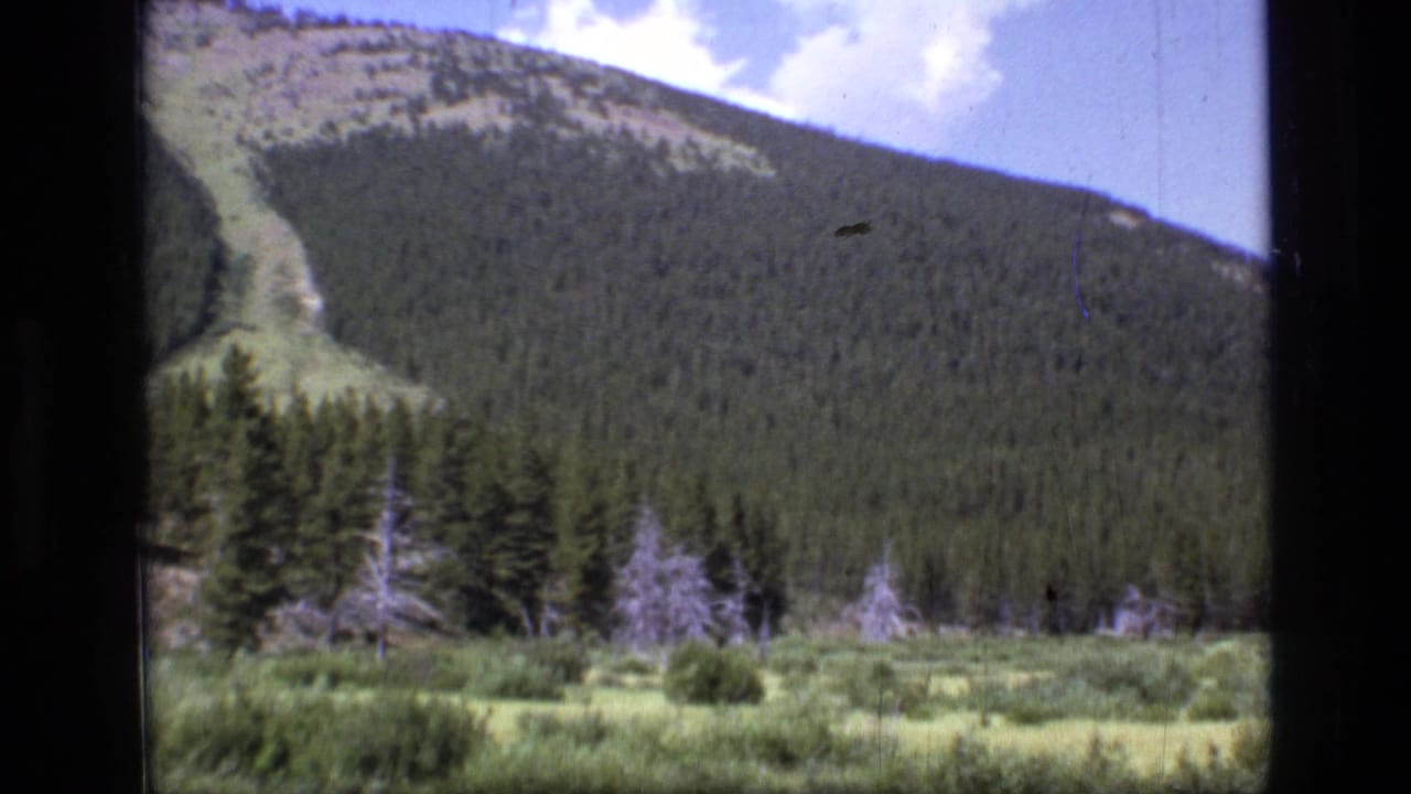 Green meadow and evergreen mountain slope under a partly cloudy blue sky.
